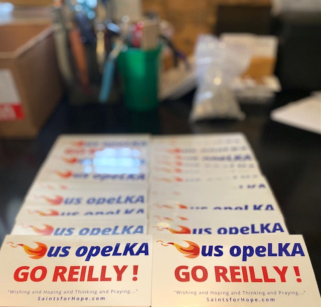 NEWS FROM QUEENS NEW YORK! REILLY OPELKA FINED $10,000